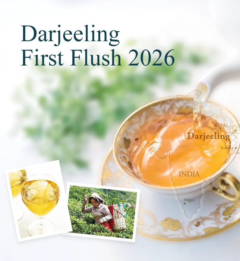 Darjeeling First Flush 2026