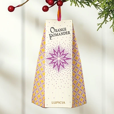 Orange Pomander Tea Bags Gift Box Xmas 2025