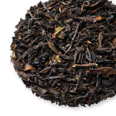 Darjeeling Autumnal 2025 