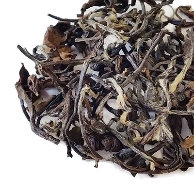 Oriental Beauty Premium
