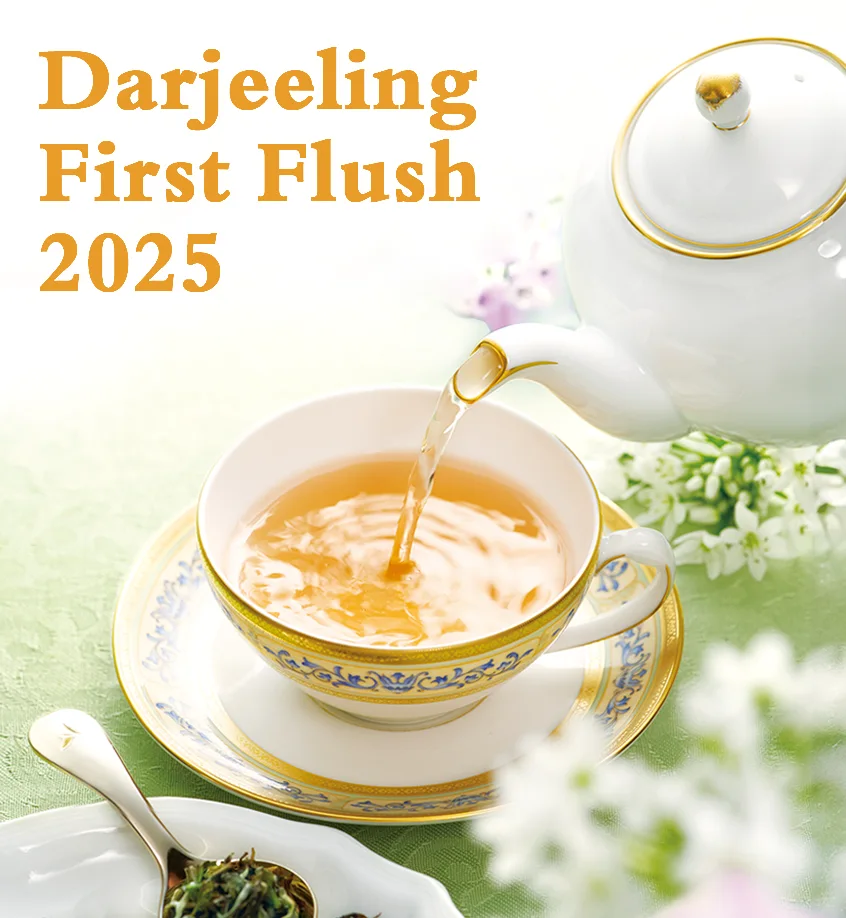 First Flush Darjeeling 2025