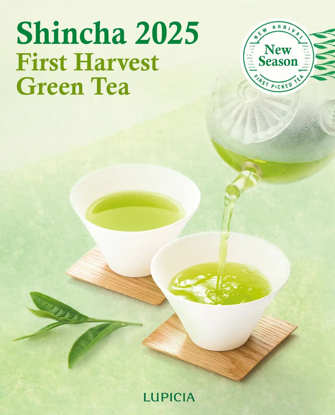 Shincha New Harvest Japanese Green Tea 2025