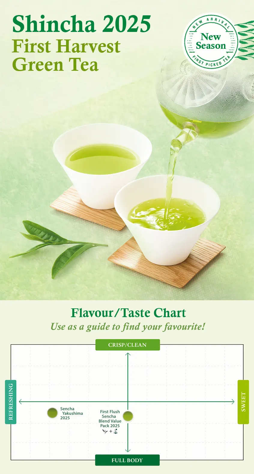 Shincha New Harvest Japanese Green Tea 2025