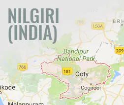 Nilgiri